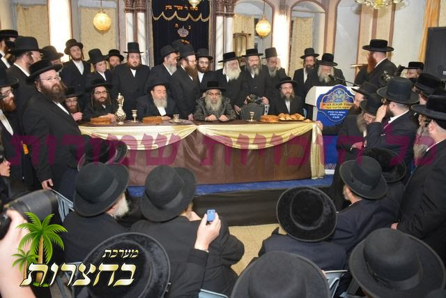 לחיים מקוה.jpg