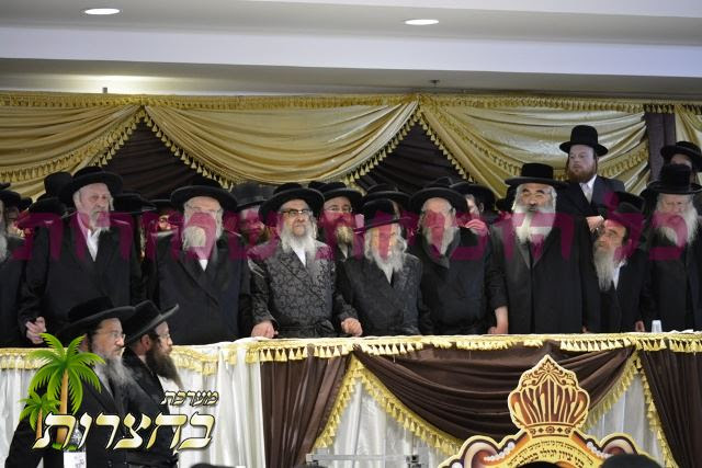 ריקודין במעמד.jpg