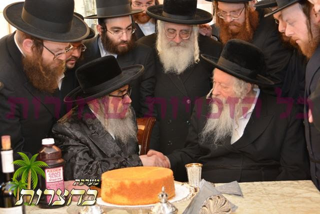 די בילד איז באמת פונעם ביקור גומלין