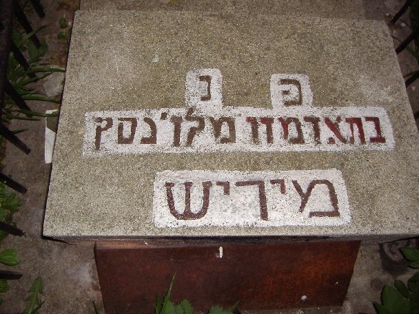 מיריש בהרה''ק מ'ליזענסק.JPG