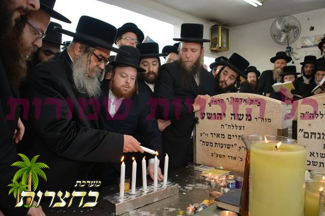 ציון וויזניץ.jpg