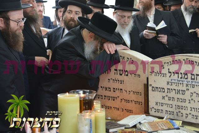 ציון וויזניץ 2.jpg