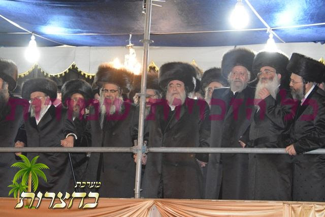 ריקודין בחופה.jpg