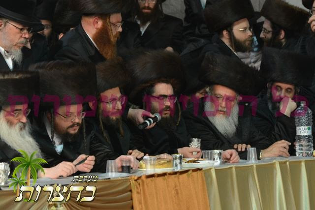 אב''ד וומ''ס.jpg