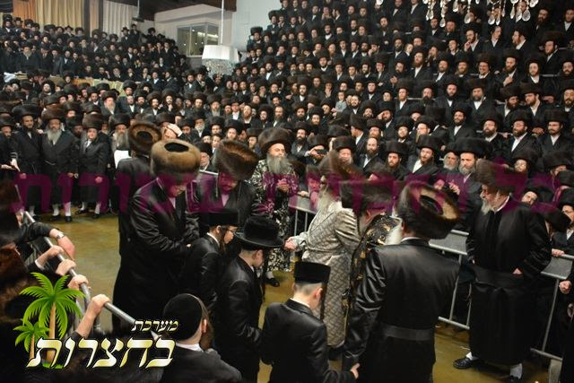 רבי מיט נכדי וויזניץ.jpg