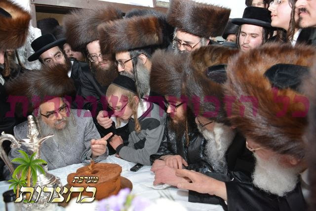 מסיבת לחיים ס''ת.jpg