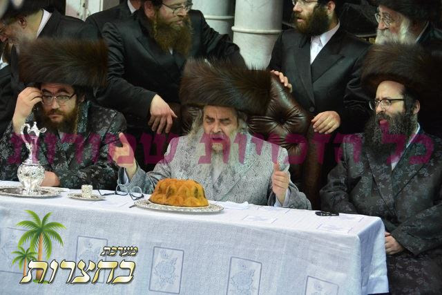 התרגשות'דיגער מסיבת לחיים.jpg