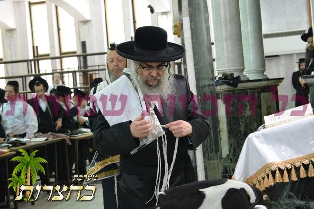 זונטאג שחרית.jpg