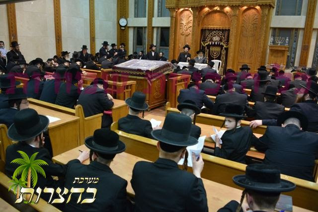 תורתך שעשועי2.jpg