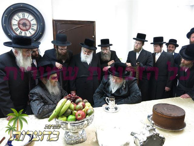 ביקור גומלין בעלזא.jpg