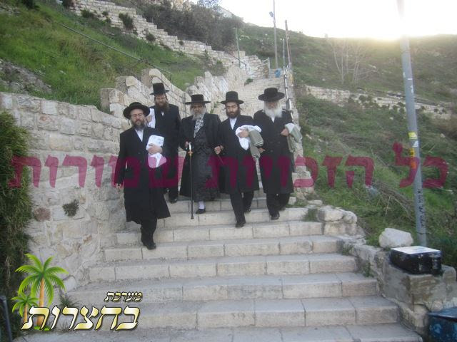 מקוה האריז''ל.jpg