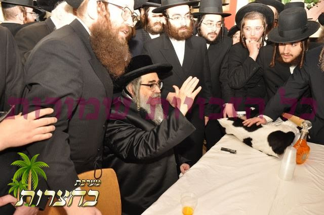 ת''ת טאכוער.jpg