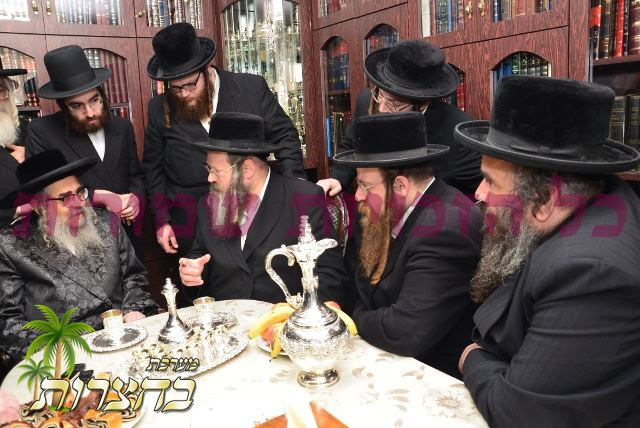 הגאון ר' משה שאול קליין.jpg