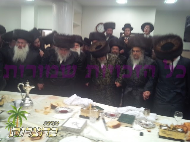 ריקודין ש''ב.jpg