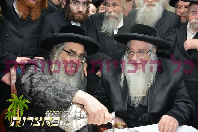 ביקור גומלין צאנז.jpg