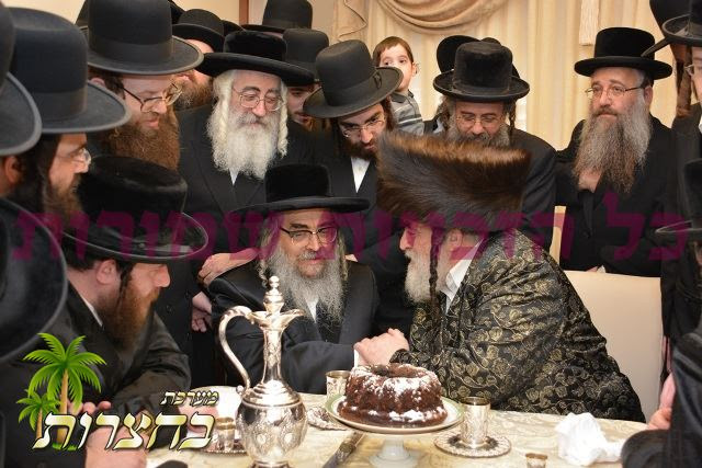 ביקור גומלין מ'וויזניץ.jpg