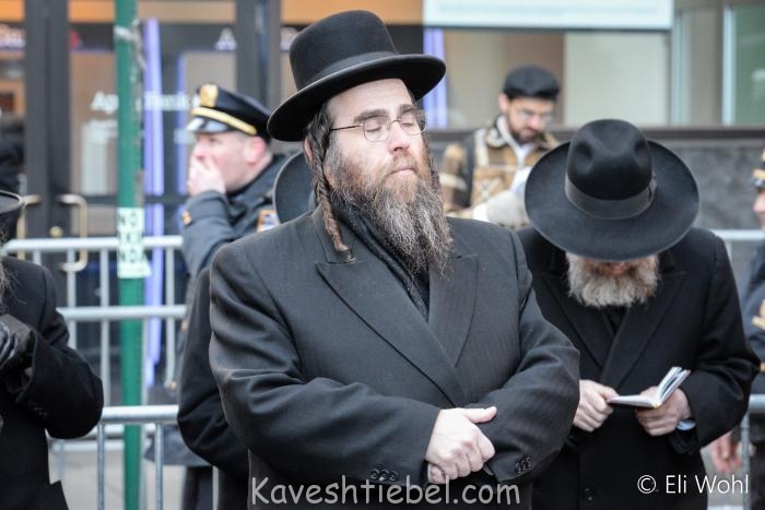 שמואל ווידער