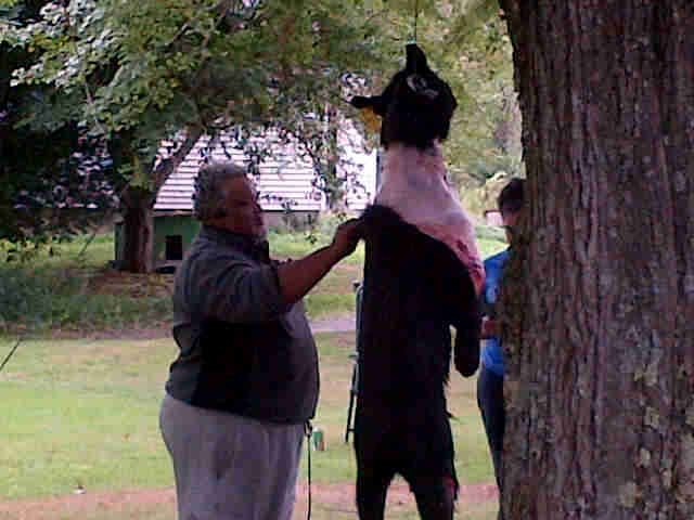 Don't mess with the rebbe's doctor.jpg