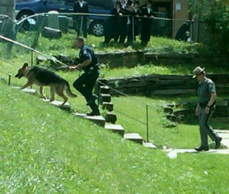 מ'ברענגט די הינט.jpg