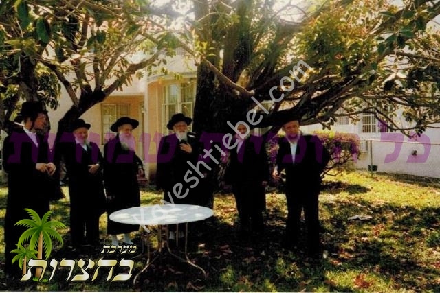 בר''מ באבוב.jpg