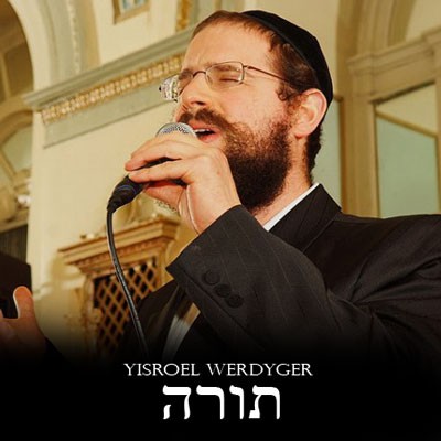 yisroel-werdyger_tora.jpg