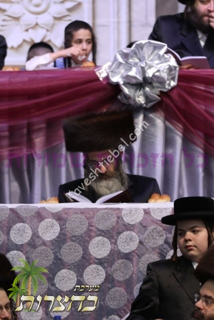 הגאון ר׳ חיים קלמן גוטמאן שליט״א מעיין אין ספר משלחן מלכים.jpg