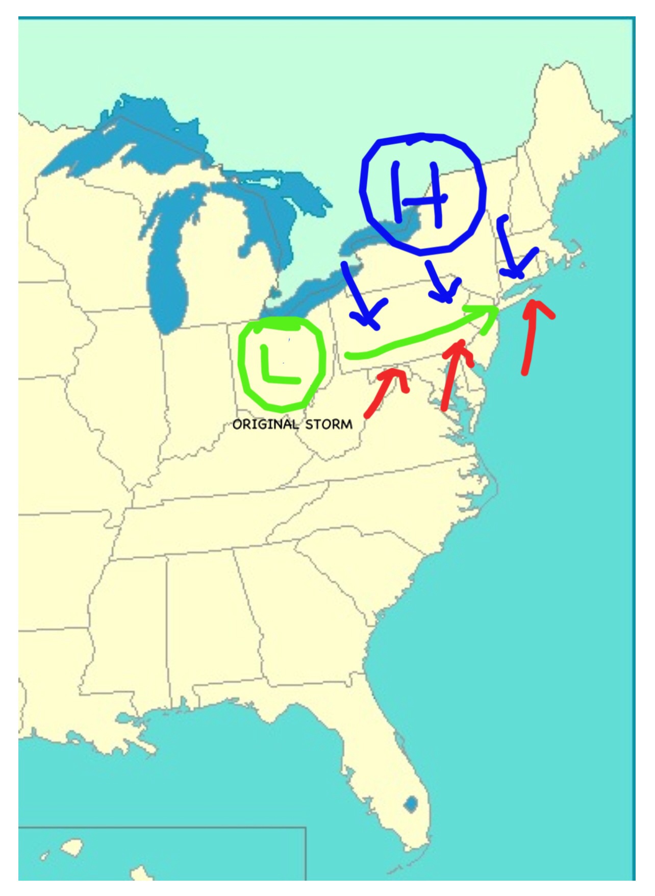 The forcasted scenario