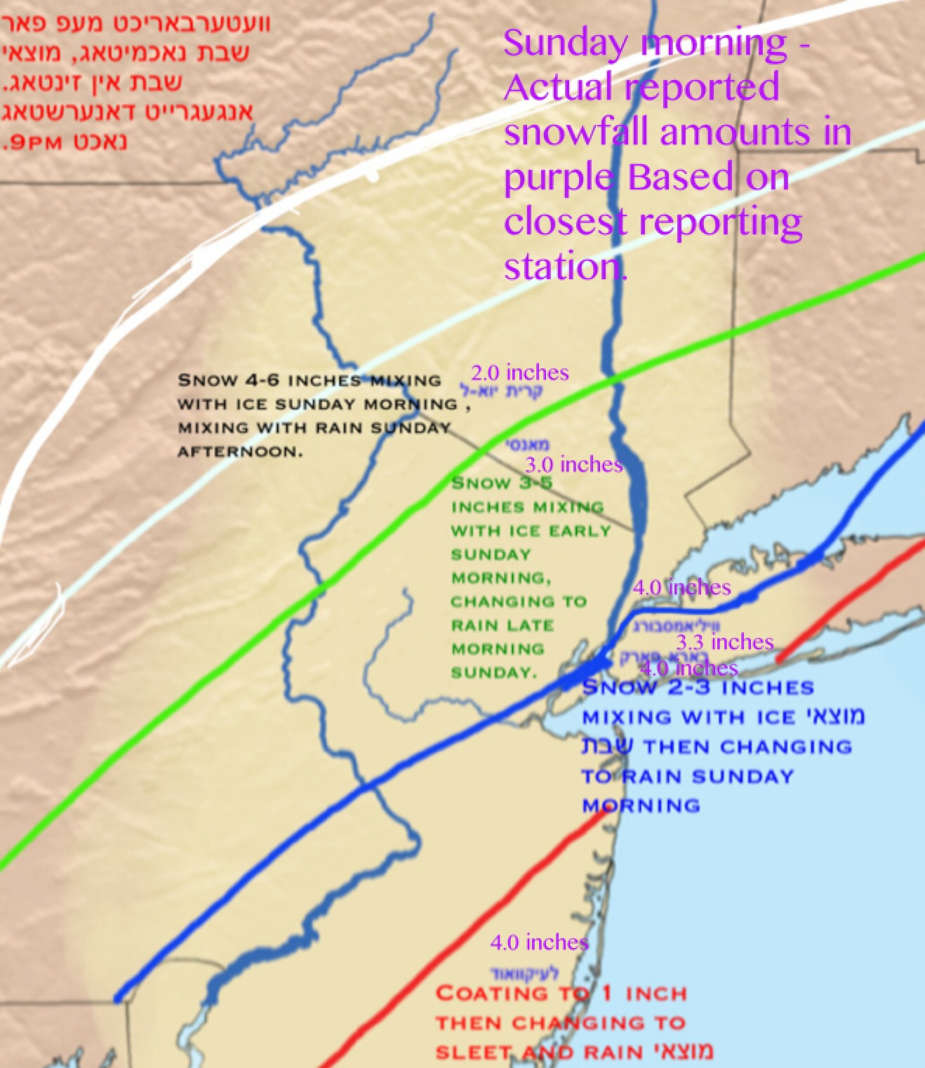 Actual amounts in purple