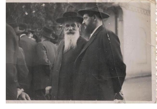 תמונה אדמור.jpeg