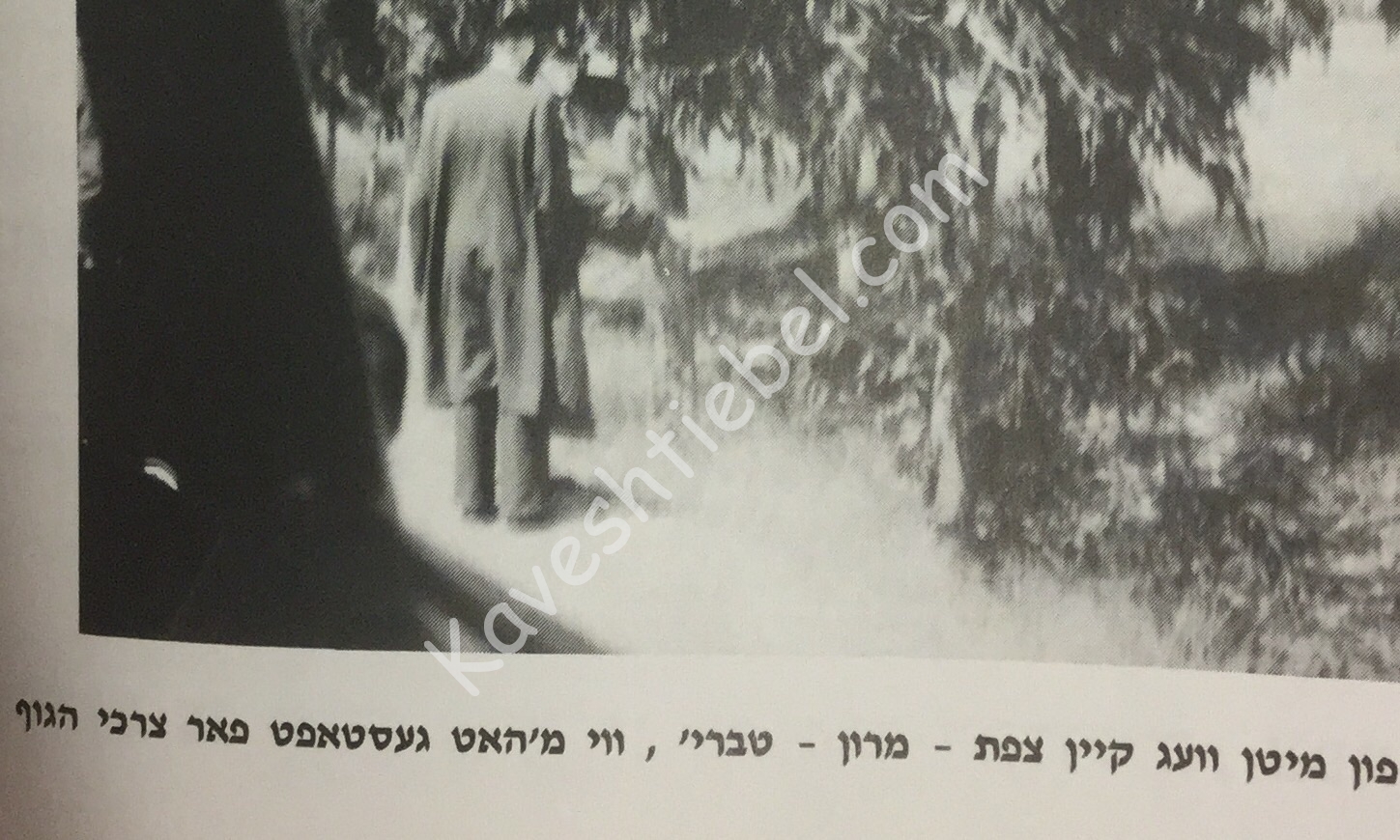 מספר מסעות ישעי׳