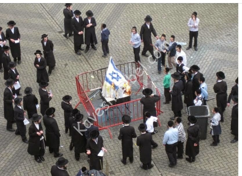 שריפת דגל המדינה.jpg