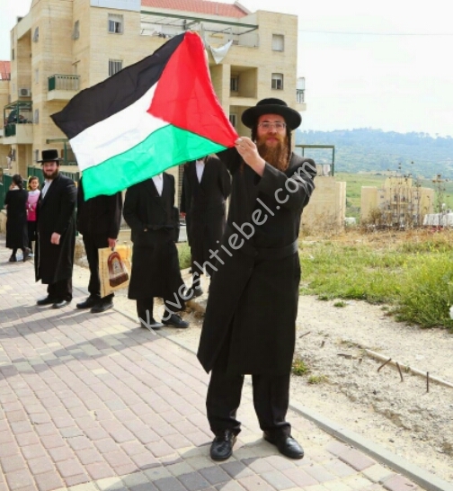 2015-04-23 11.39.27.jpg