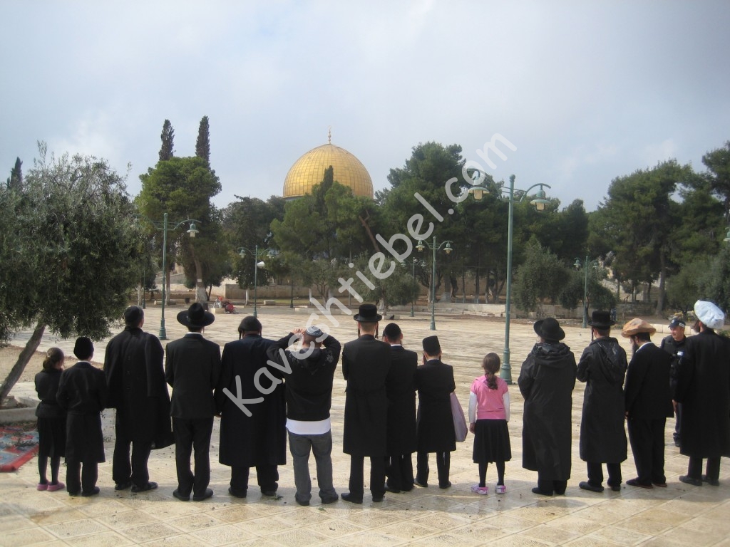 עם הרב יצחק ברנד