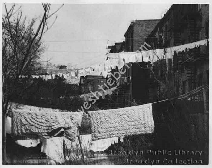 backyards erev pesach.png