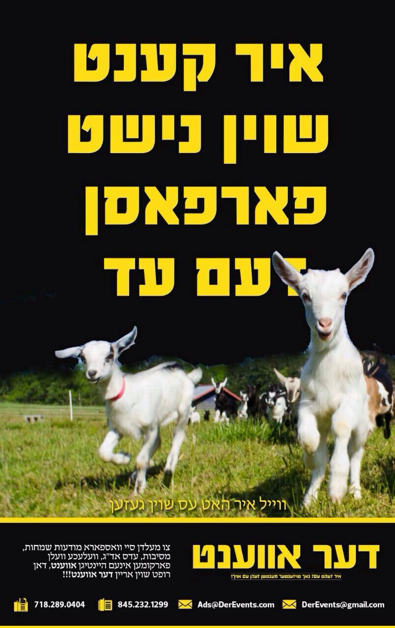 דאס איז שוין ריזיג!