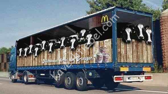 אינטערסאנט אז פיטא פראטעסטירט נישט דערויף..