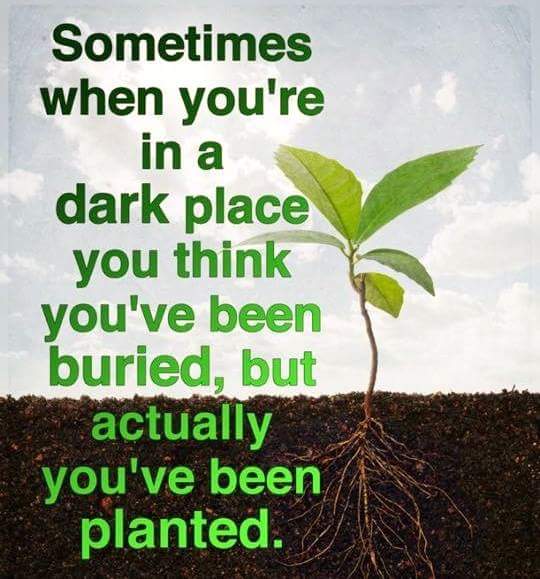 פון די שטארקע וואס איך. גלייך