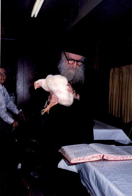 די ענות חן ביים מקיים זיין מנהג הכפרות.