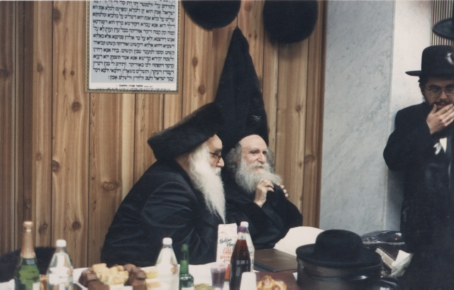 עם ידידו ומחותנו, האדמו"ר מ'וויזשניץ שליט"א