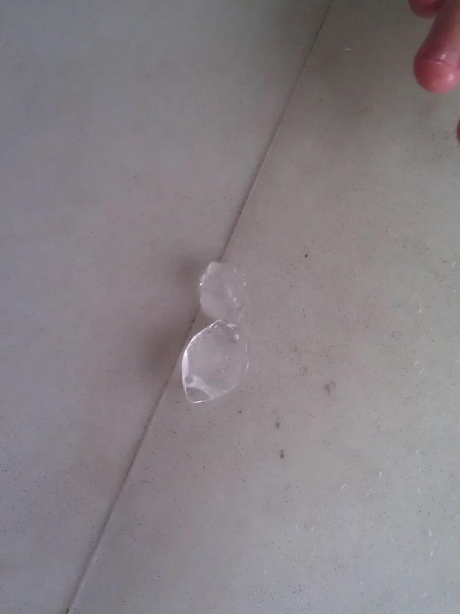 אבני אלגביש