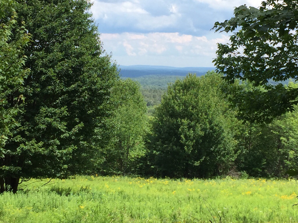 Walnut mountain view north