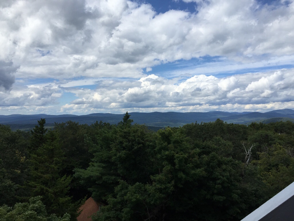 View from fire tower red hill -denning ny