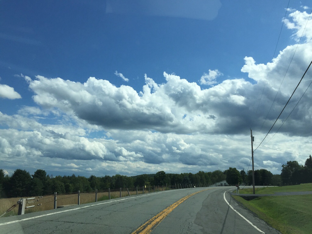 Route 42 south neversink ny