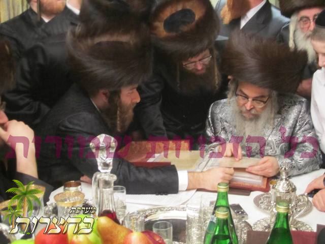 Rabbe by Yidy Mandel5.jpg