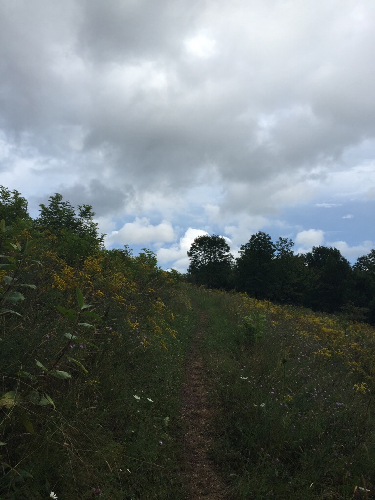 Walnut mountain path 1