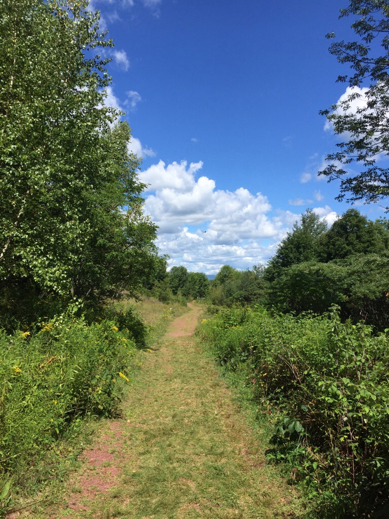 Walnut mountain walking path