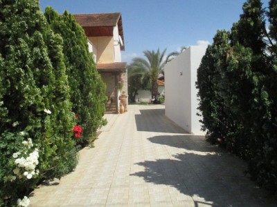 IMG_0625.JPG (124.49 KiB) געזען געווארן 3128 מאל IMG_0625.JPG