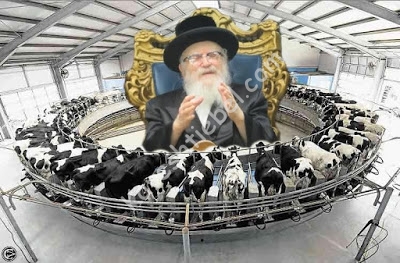 ×ª×ž×•× ×” 1.jpg