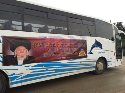 צדיקים ווערן מגולגל אין די פיש.jpg