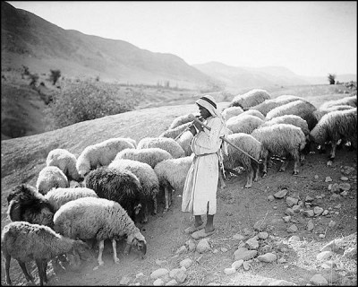 shepherd_boy_playing_flute_to_sheep.jpg